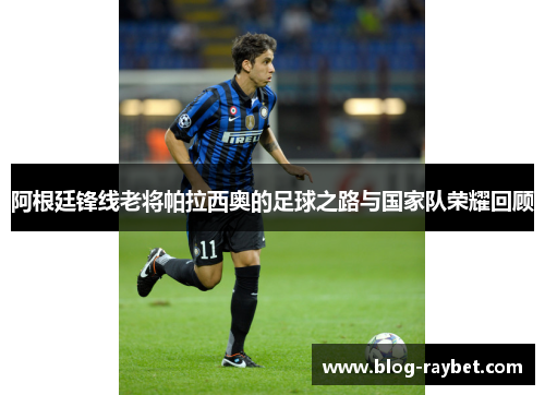 阿根廷锋线老将帕拉西奥的足球之路与国家队荣耀回顾