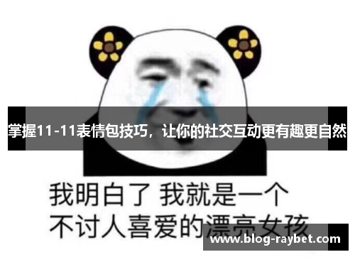 掌握11-11表情包技巧，让你的社交互动更有趣更自然