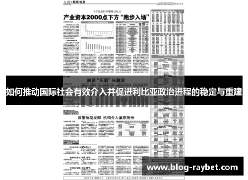 如何推动国际社会有效介入并促进利比亚政治进程的稳定与重建