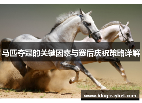 马匹夺冠的关键因素与赛后庆祝策略详解