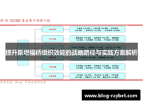 提升斯坦福桥组织效能的战略路径与实践方案解析