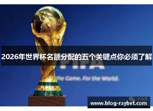 2026年世界杯名额分配的五个关键点你必须了解