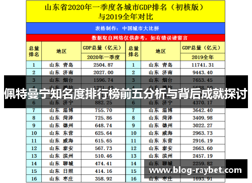 佩特曼宁知名度排行榜前五分析与背后成就探讨